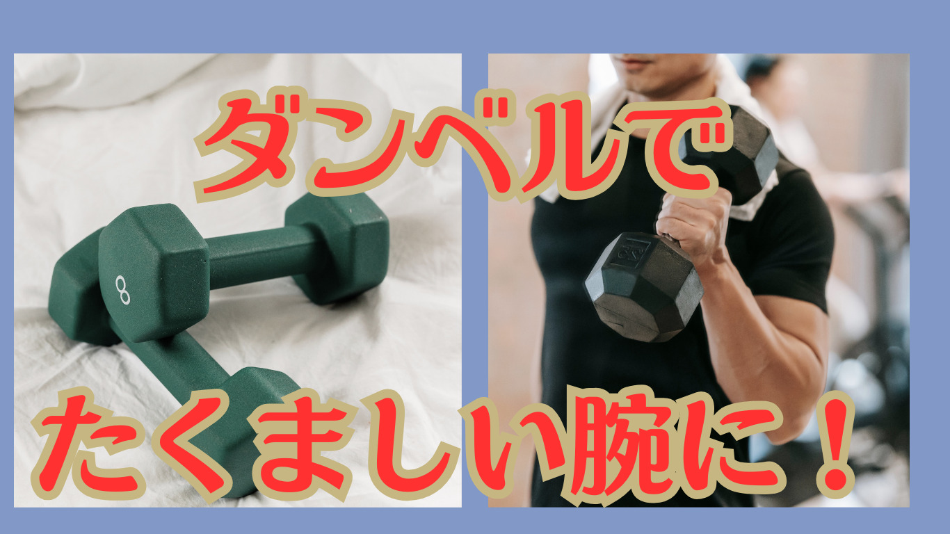 ダンベルのトレーニング種目解説！【ジムでトレーニング】